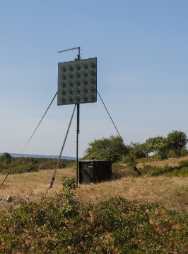 PASR-17c ‘POINTER’